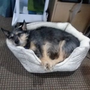 Meet your Posher, Martha